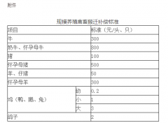 澳门金沙赌场_澳门金沙网址_澳门金沙网站_安置人员无住房的